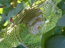 Domokos Barbara muanyag_kosár 3 2009